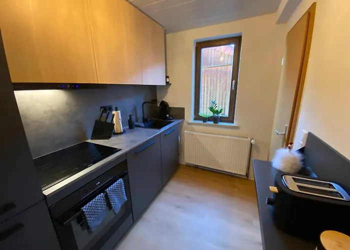 Apartment Forrest Lounge Schweina